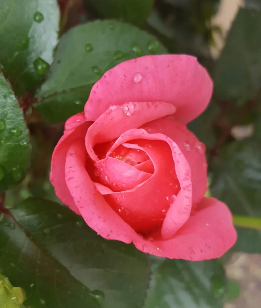 Slide of Moore Home Services