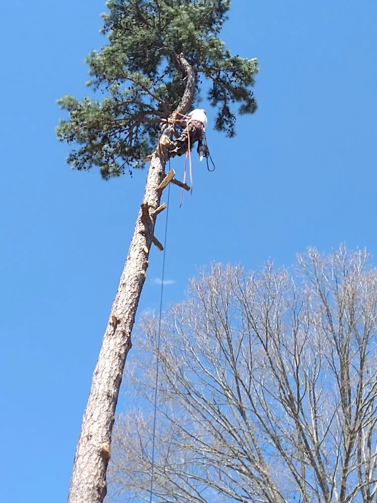 Slide of Moore HVAC & Renovations