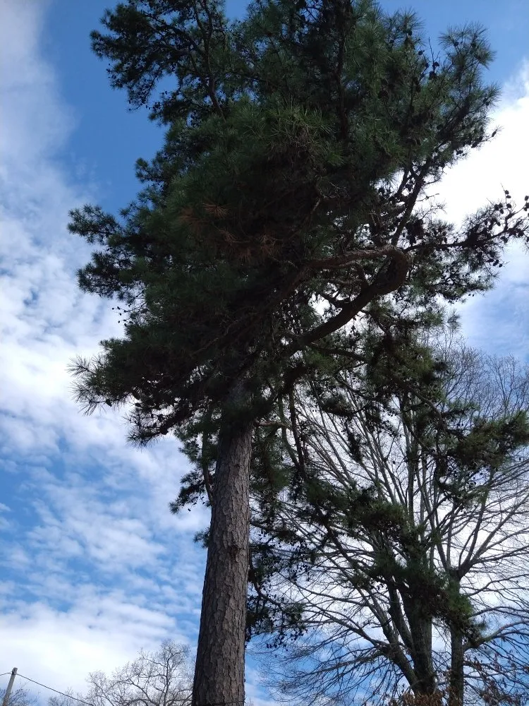 Slide of Moore HVAC & Renovations