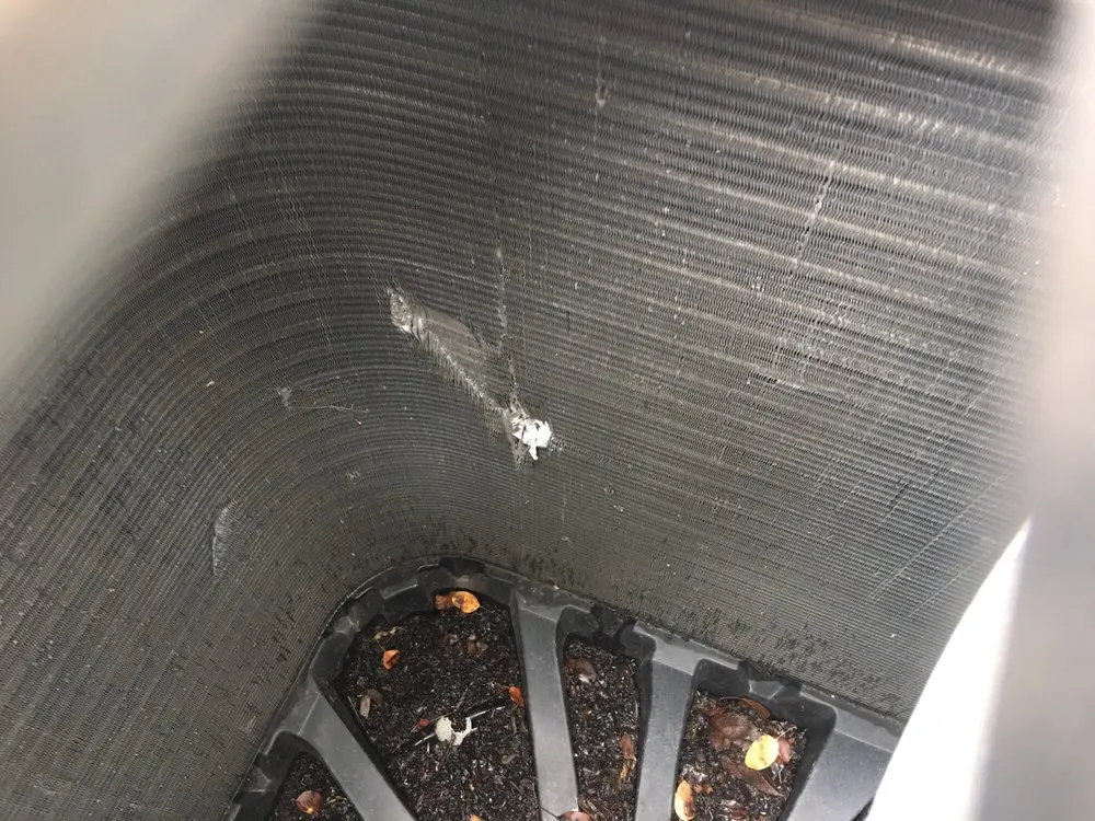 Slide of Moran & Sons