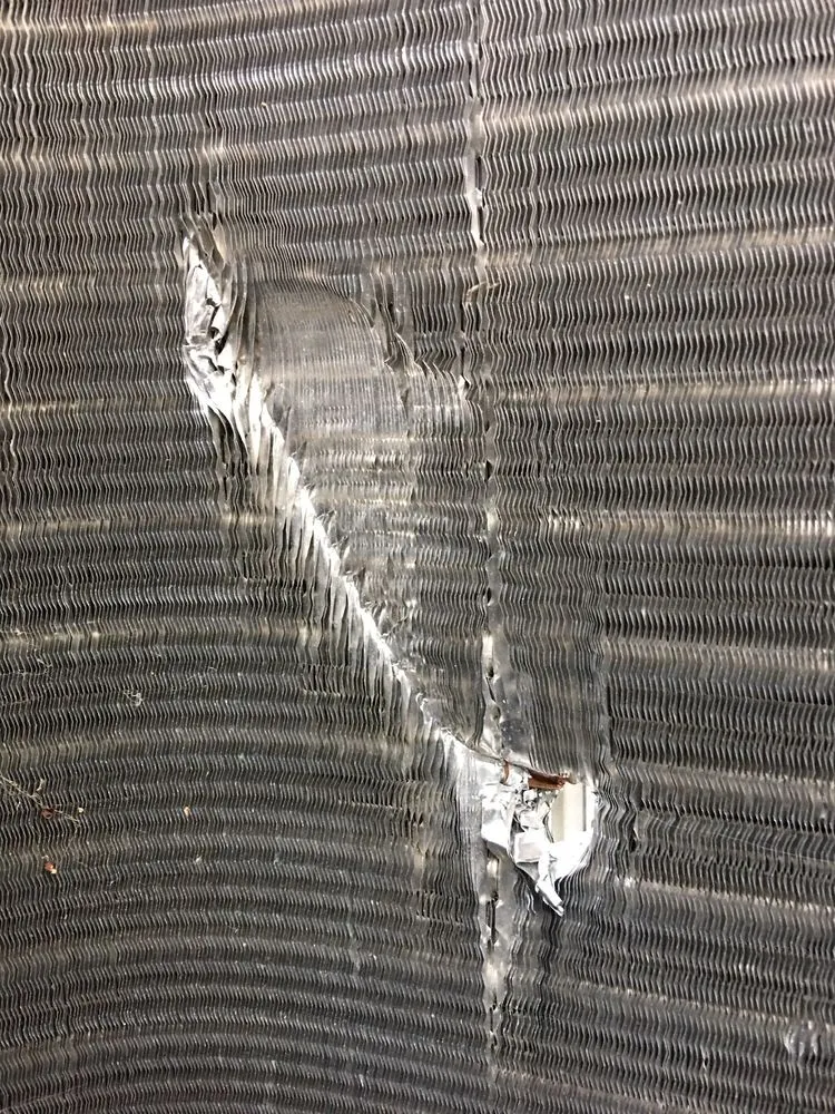 Slide of Moran & Sons