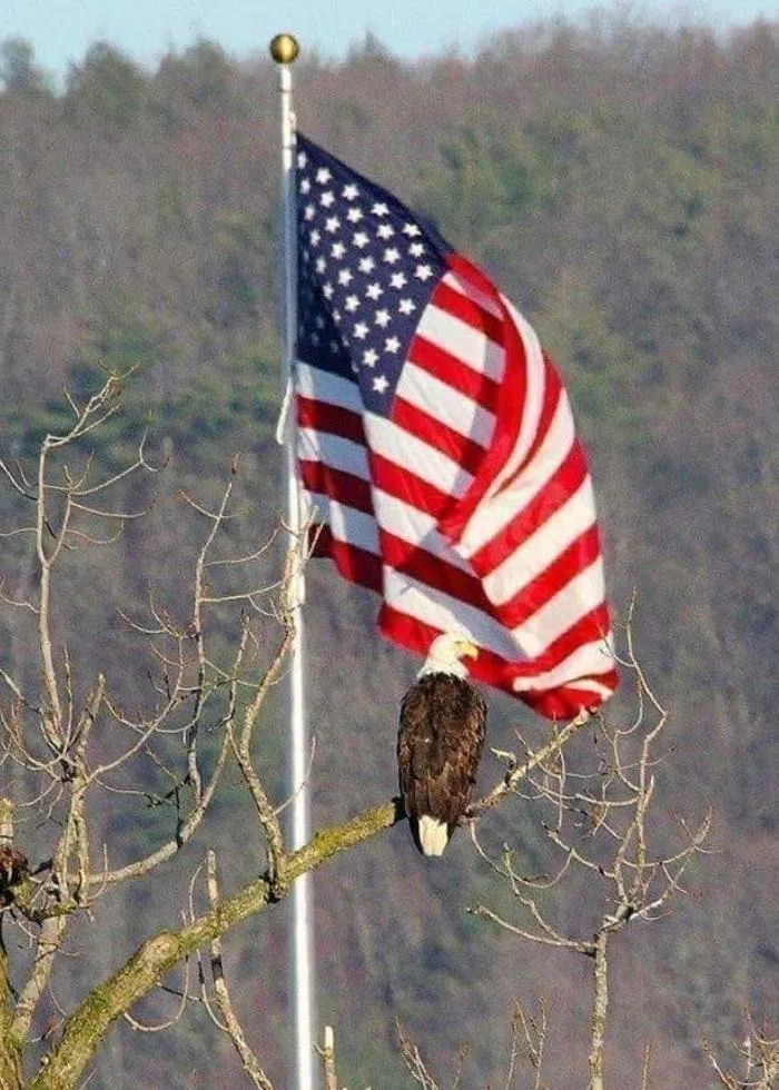 Slide of More Heat More Cool