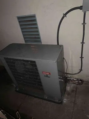 Moreno Services Logo