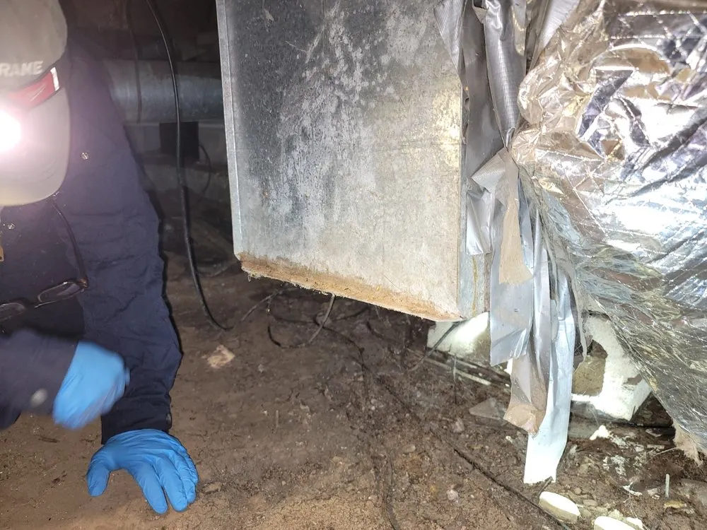 Top-rated heating repair for residential systems in Mound House, NV by Moritz Western Heating and Air Conditioning