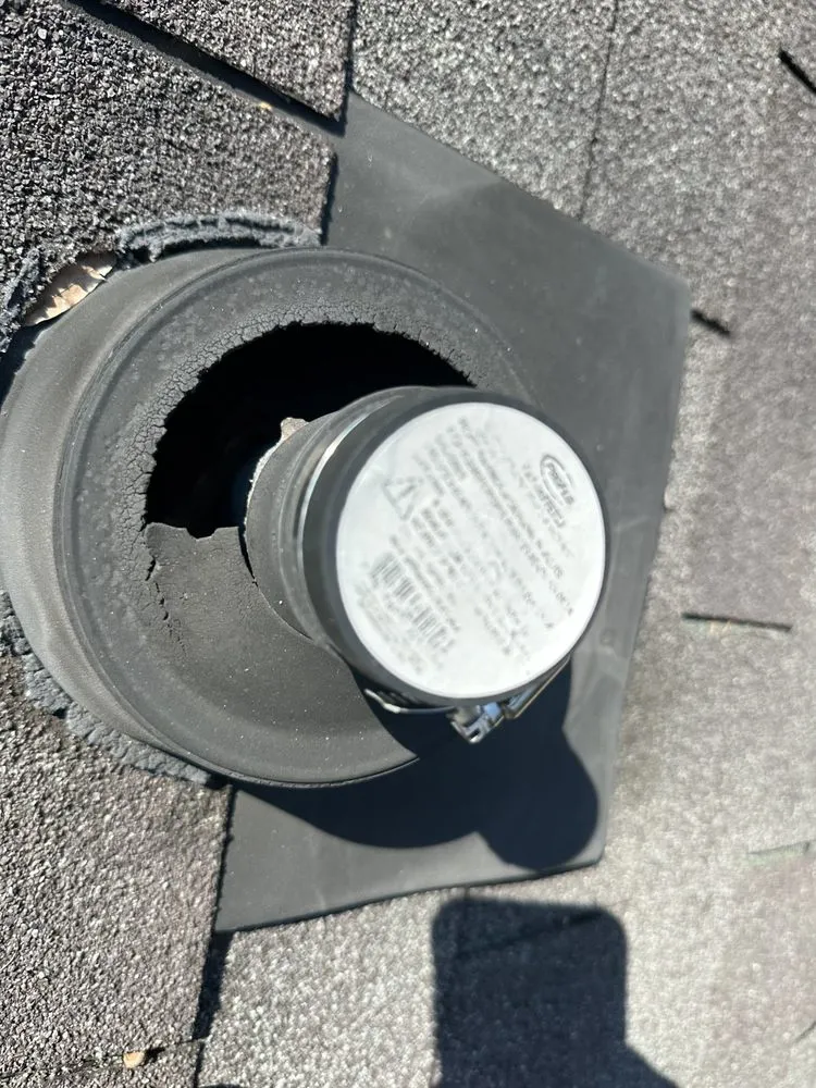 Slide of Morris-Jenkins