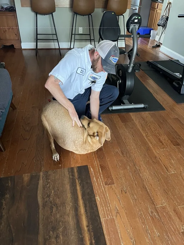 Slide of Morris-Jenkins