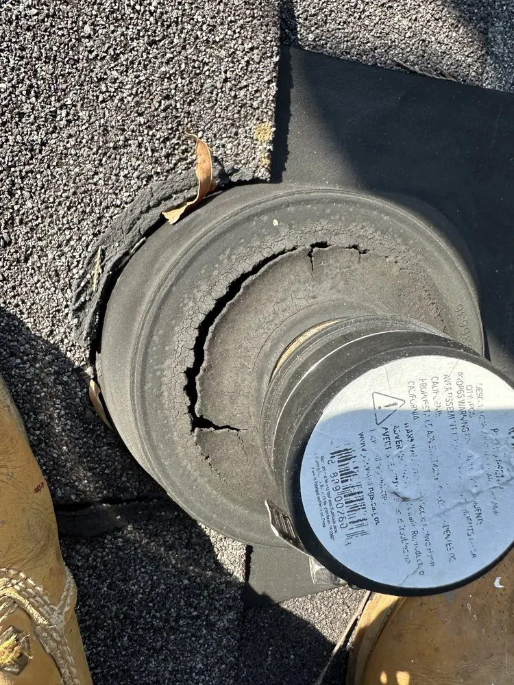 Slide of Morris-Jenkins