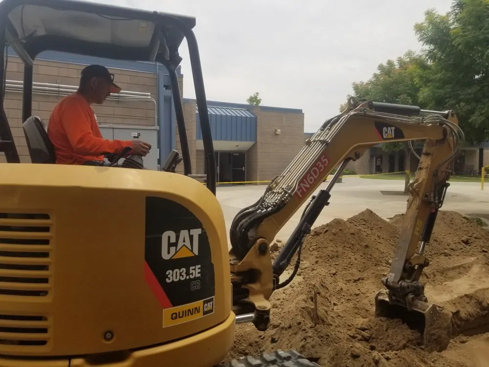 Slide of Morris Levin & Son