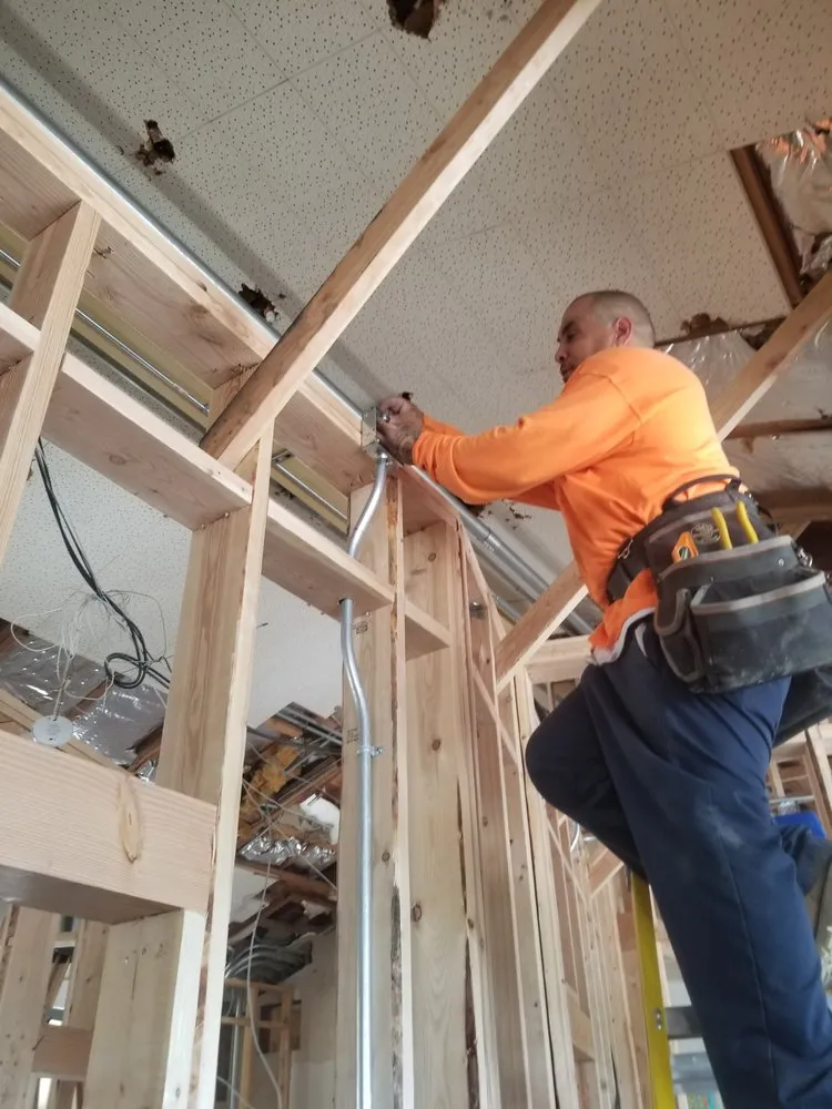 Slide of Morris Levin & Son