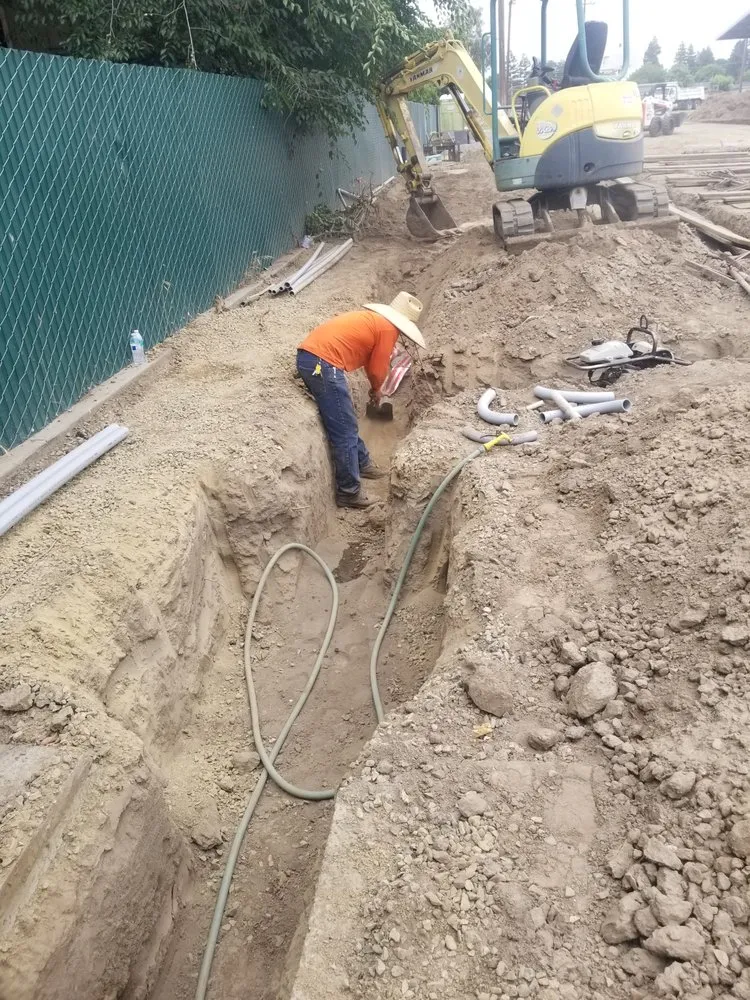 Slide of Morris Levin & Son