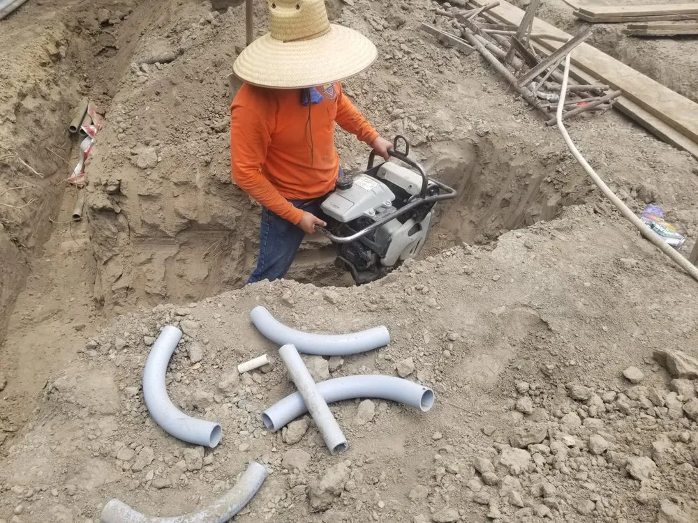 Slide of Morris Levin & Son