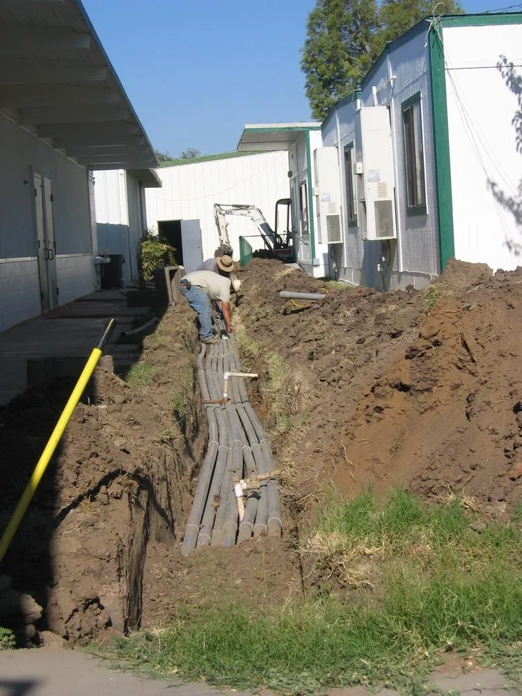 Slide of Morris Levin & Son