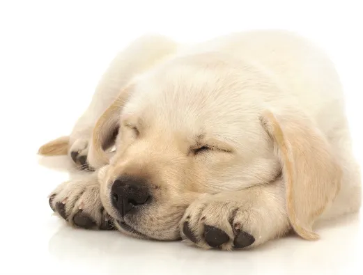 Slide of Morton Mechanical