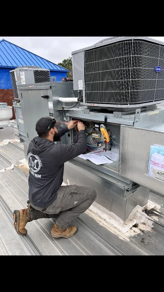 Slide of Moss Heating and Cooling