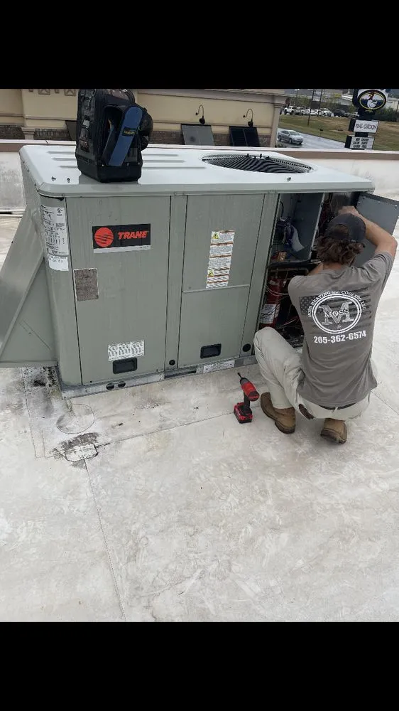 Slide of Moss Heating and Cooling