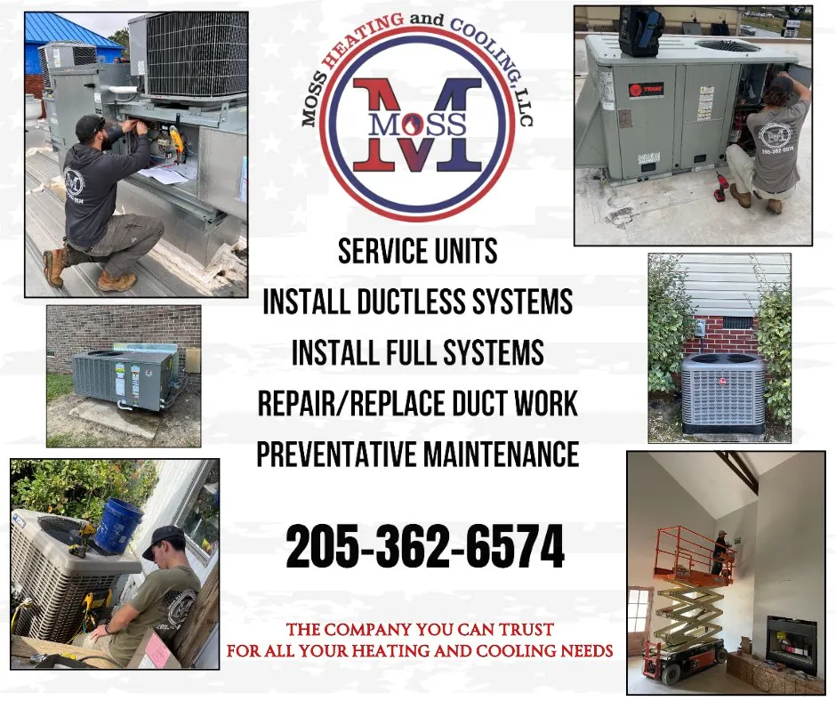 Slide of Moss Heating and Cooling