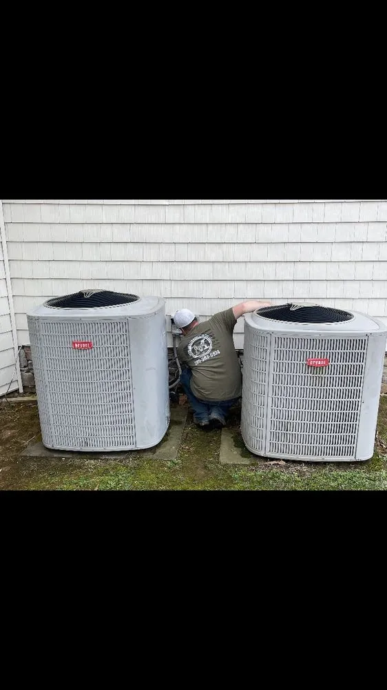 Slide of Moss Heating and Cooling