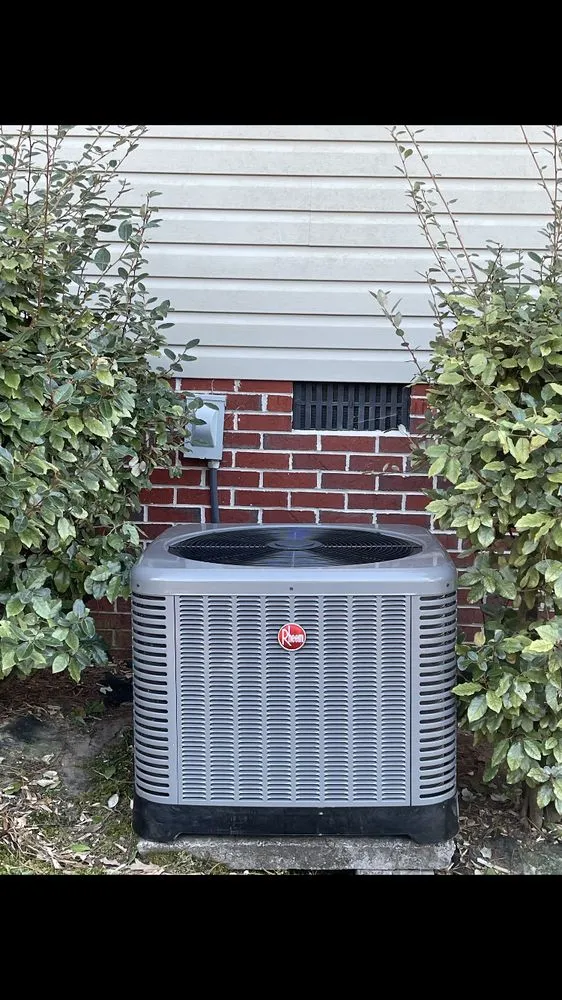 Slide of Moss Heating and Cooling