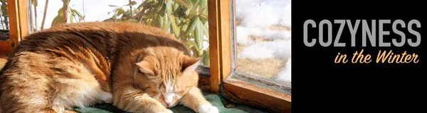 Motta Heating & Air Conditioning