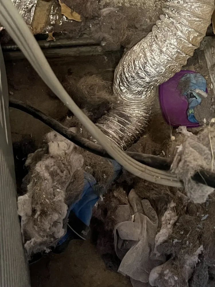 Slide of Mountaintop Vents