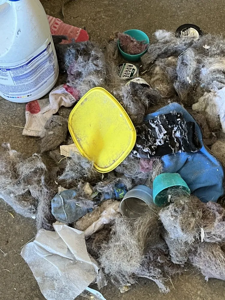 Slide of Mountaintop Vents