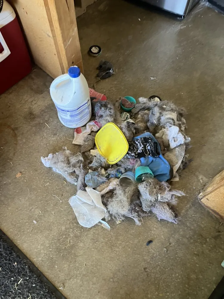 Slide of Mountaintop Vents