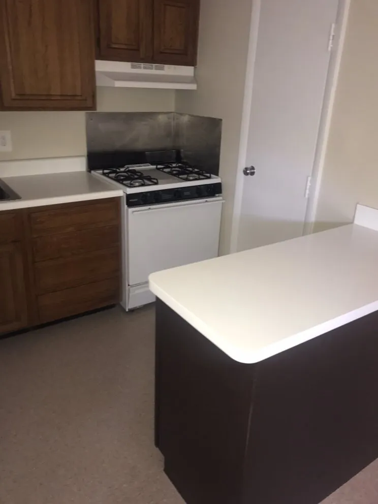 Slide of MOYA’S Handyman