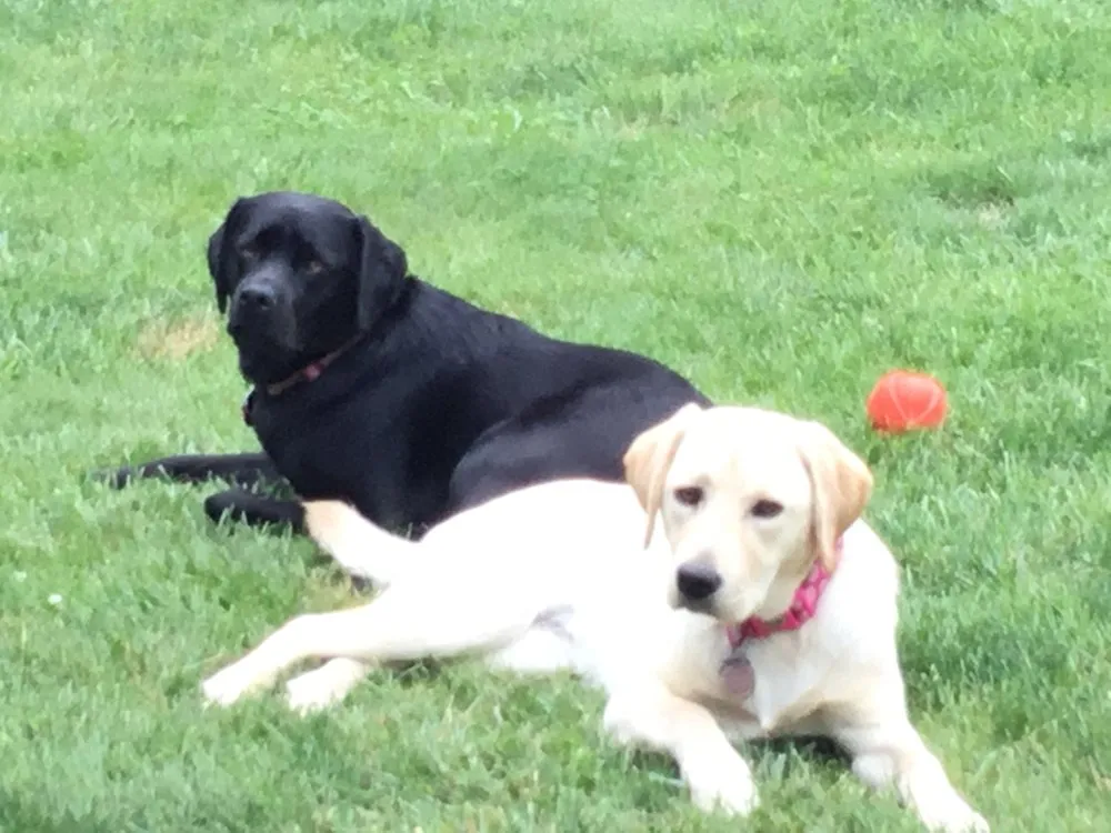 Slide of MPG Mechanical