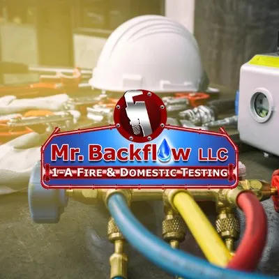 Mr Backflow