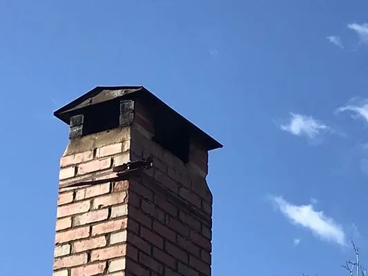 Mr Clean Chimney Service Logo