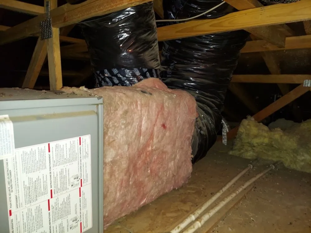 Slide of Mr Cool and Mr Warm