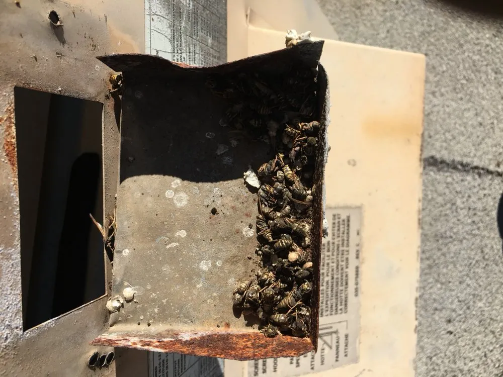 Slide of Mr. Cool Guy HVAC