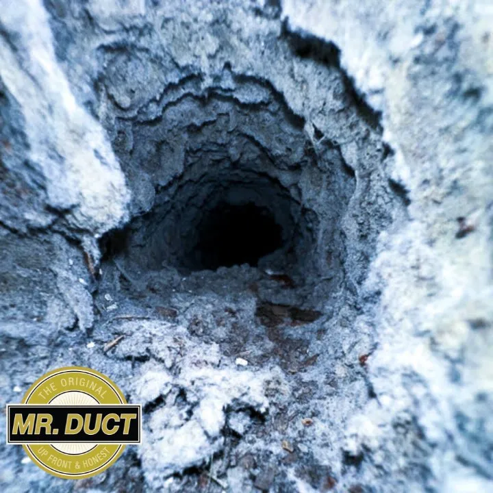 Slide of Mr. Duct