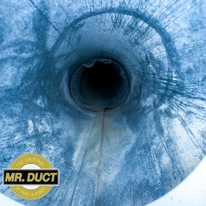 Slide of Mr. Duct