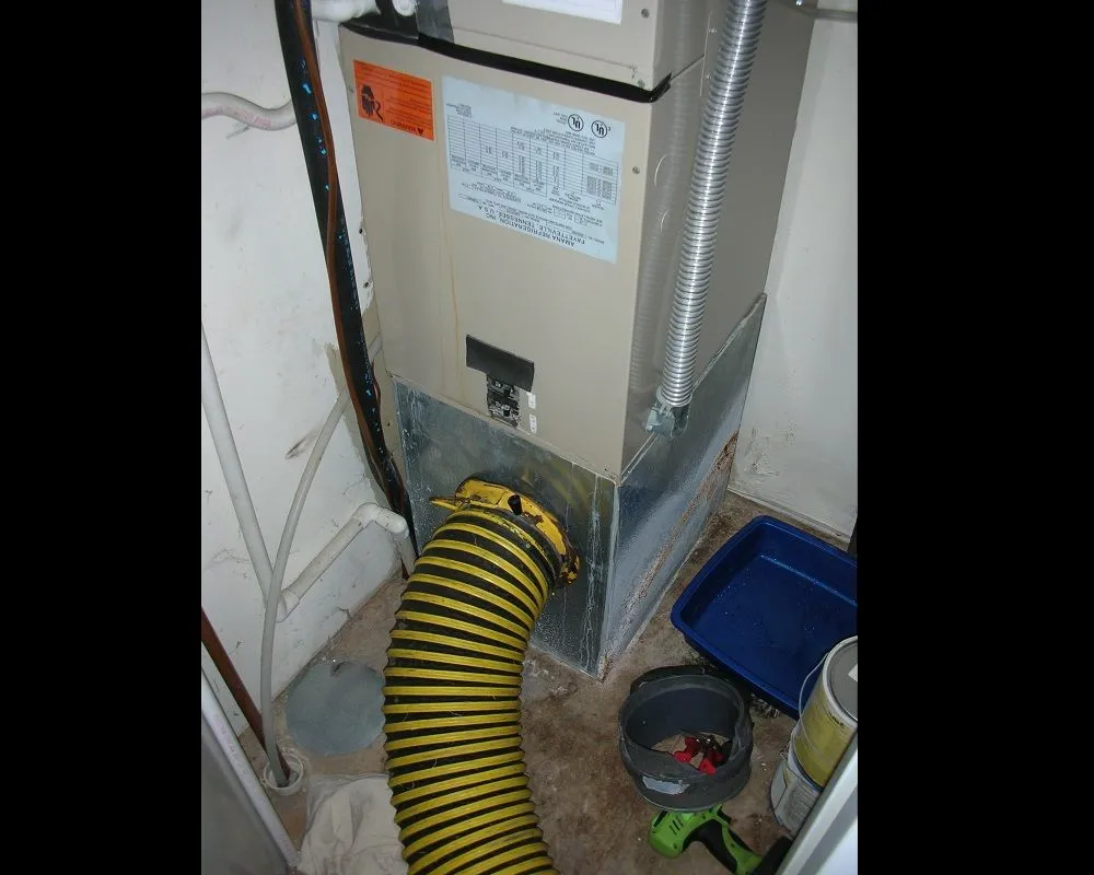 Slide of Mr. Duct Cleaner San Juan Capistrano