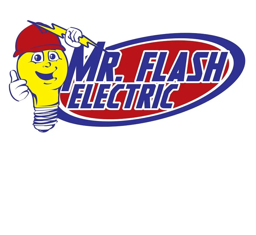 Slide of Mr Flash Electric