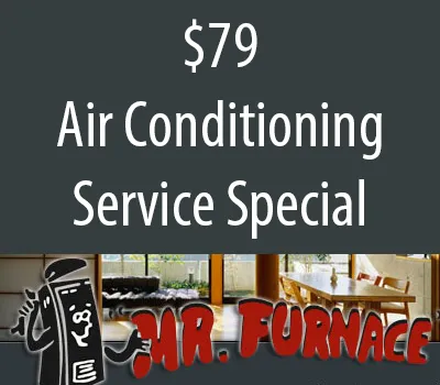 Slide of Mr. Furnace