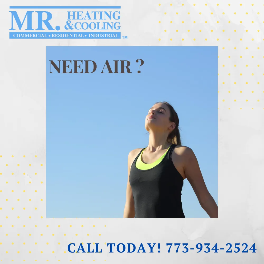 Slide of Mr. Heating and Cooling