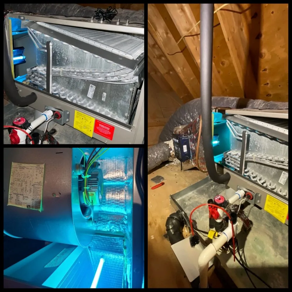 Slide of Mr. Icy Hot