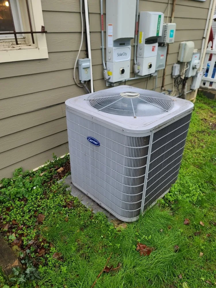 Slide of Mr. Icy Hot