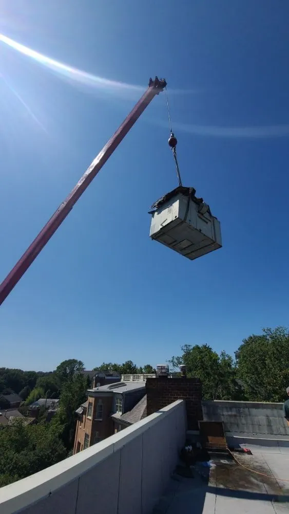 Slide of Mr. Icy Hot