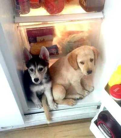 Slide of Mr. Icy Hot