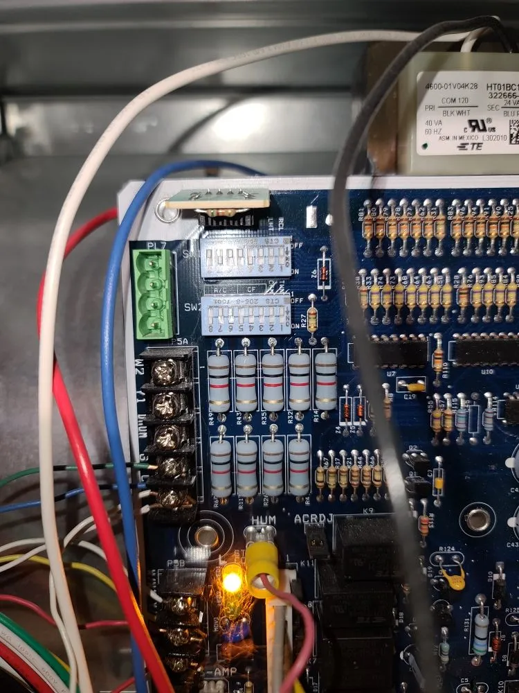 Slide of Mr. Icy Hot