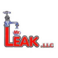 Mr Leak