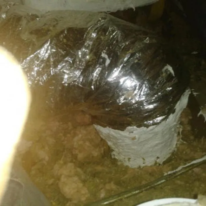 Reliable AC repair in St. Petersburg, FL by Mr. No Sweat Air Conditioning & Refrigeration