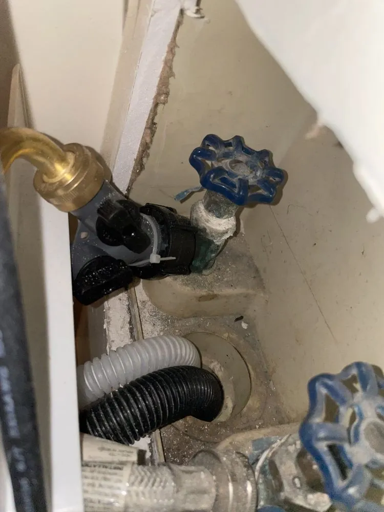 Slide of Mr Professional