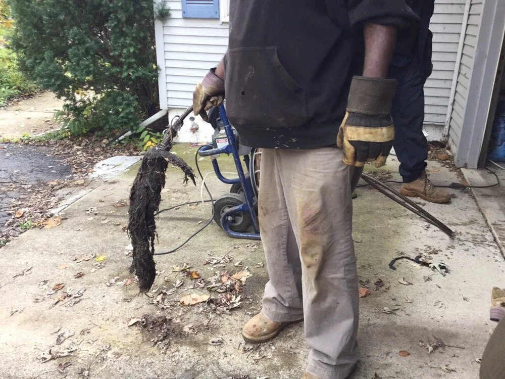 Slide of Mr Root Out