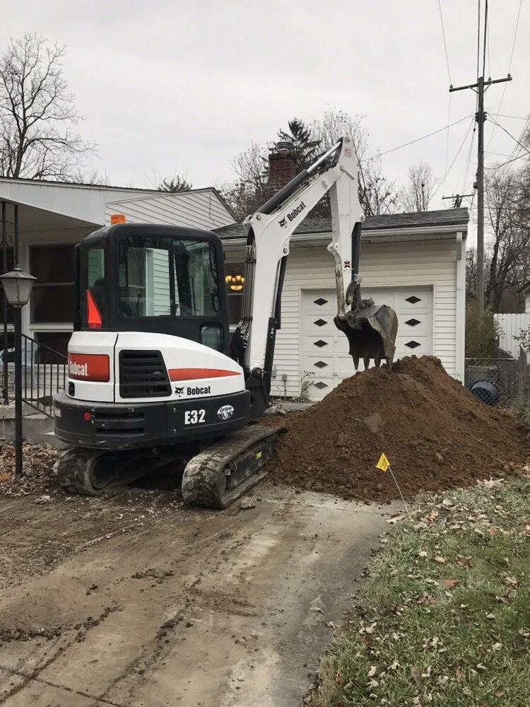 Slide of Mr Root Out