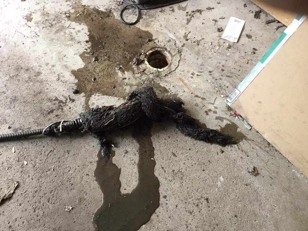 Slide of Mr Root Out