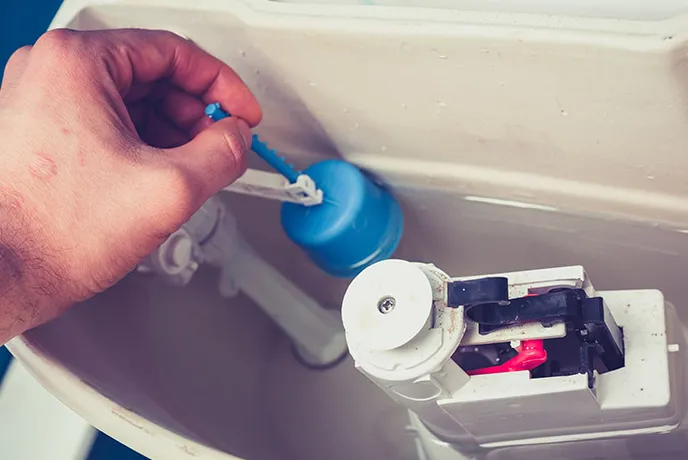 Slide of Mr Root Out